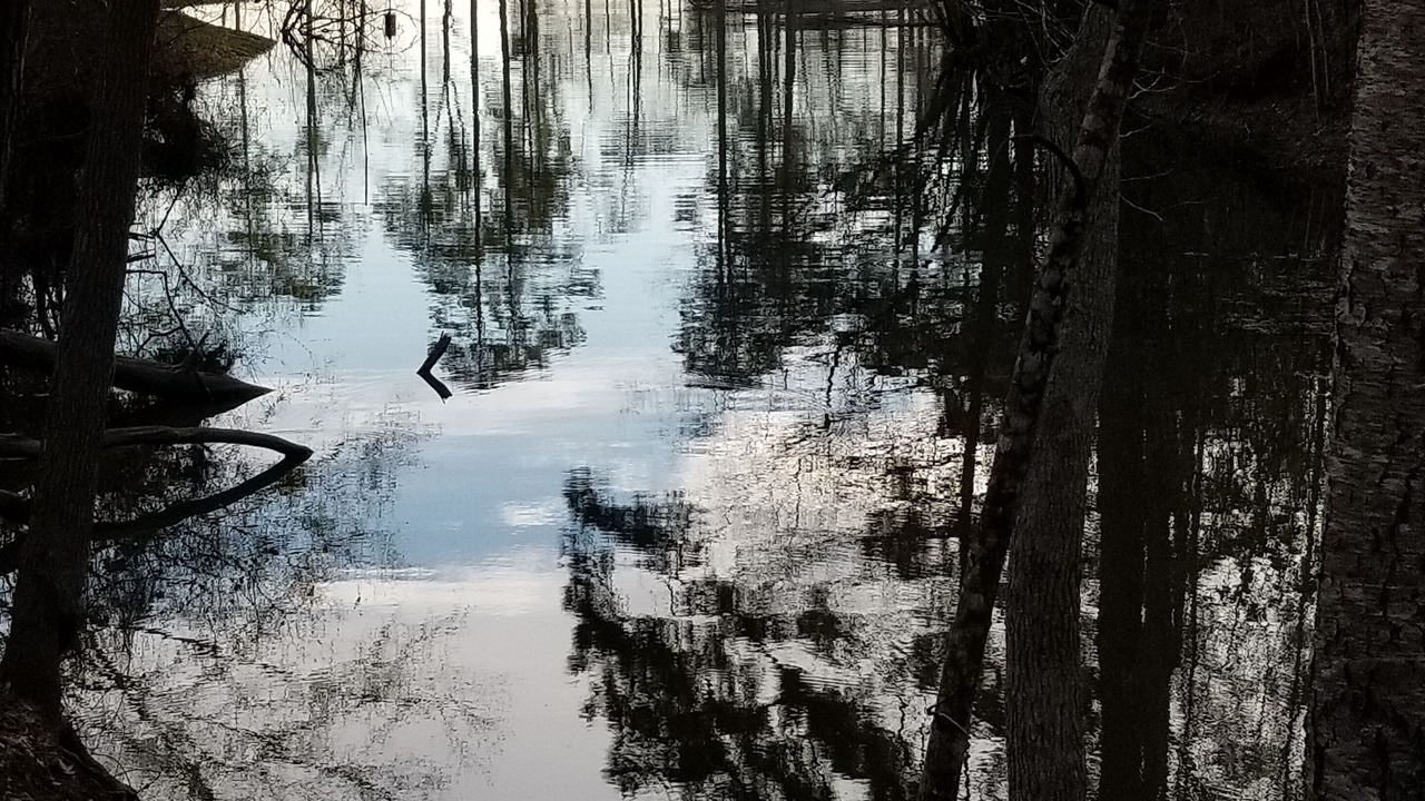 Photo of Others in Hemphill