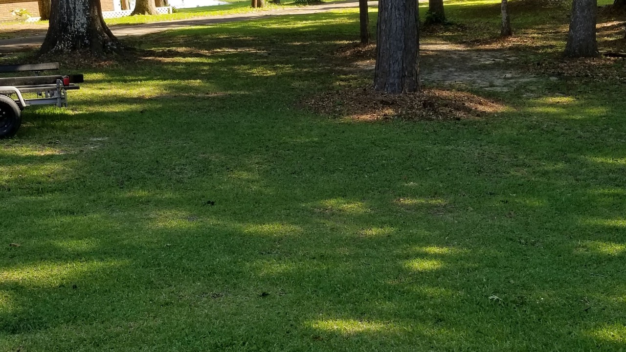 Photo of Others in Hemphill