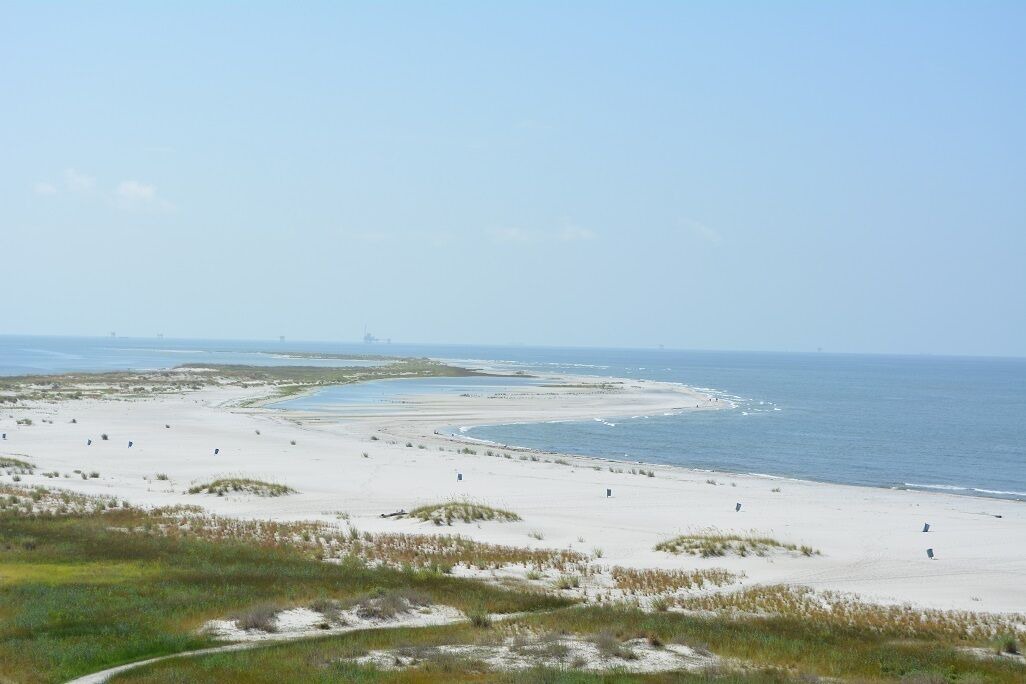 Photo of Others in Dauphin Island