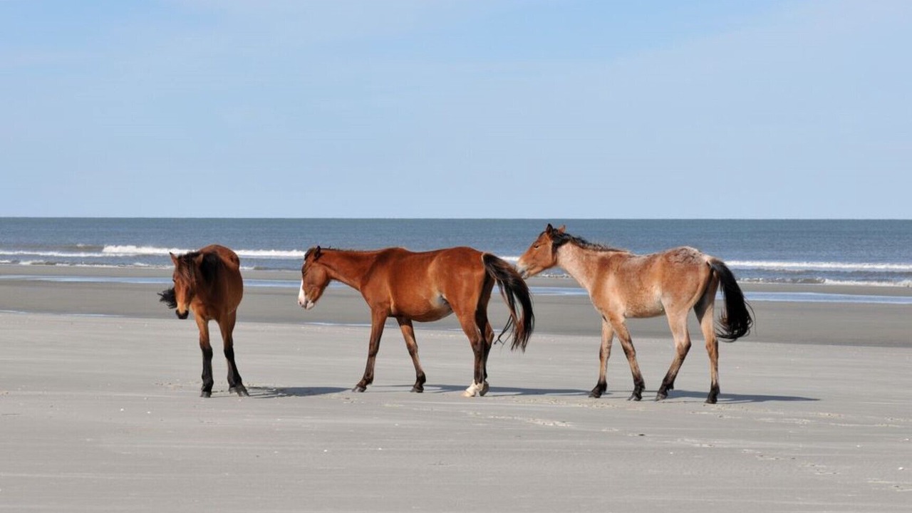 Photo of Others in St. Marys