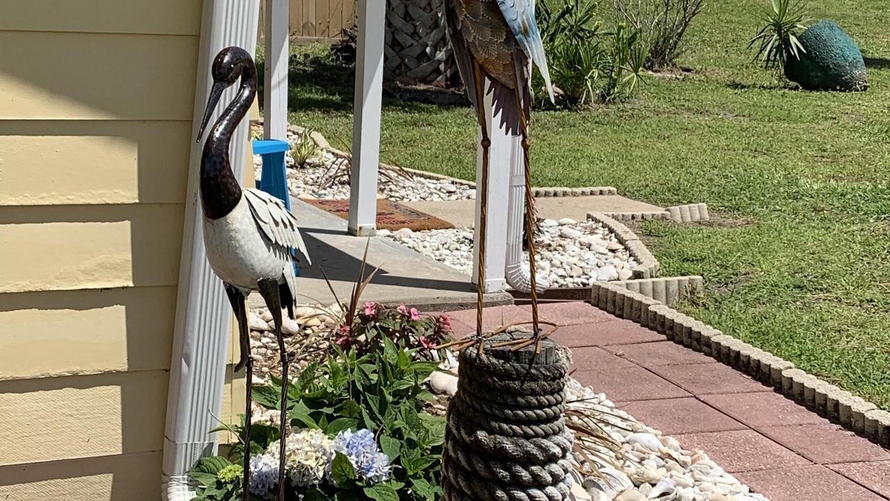 Photo of Outdoor in Mexico Beach