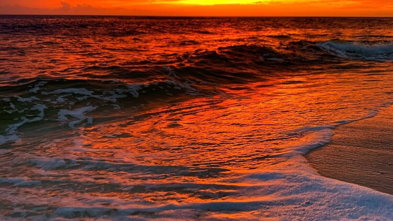 Photo of Others in Mexico Beach