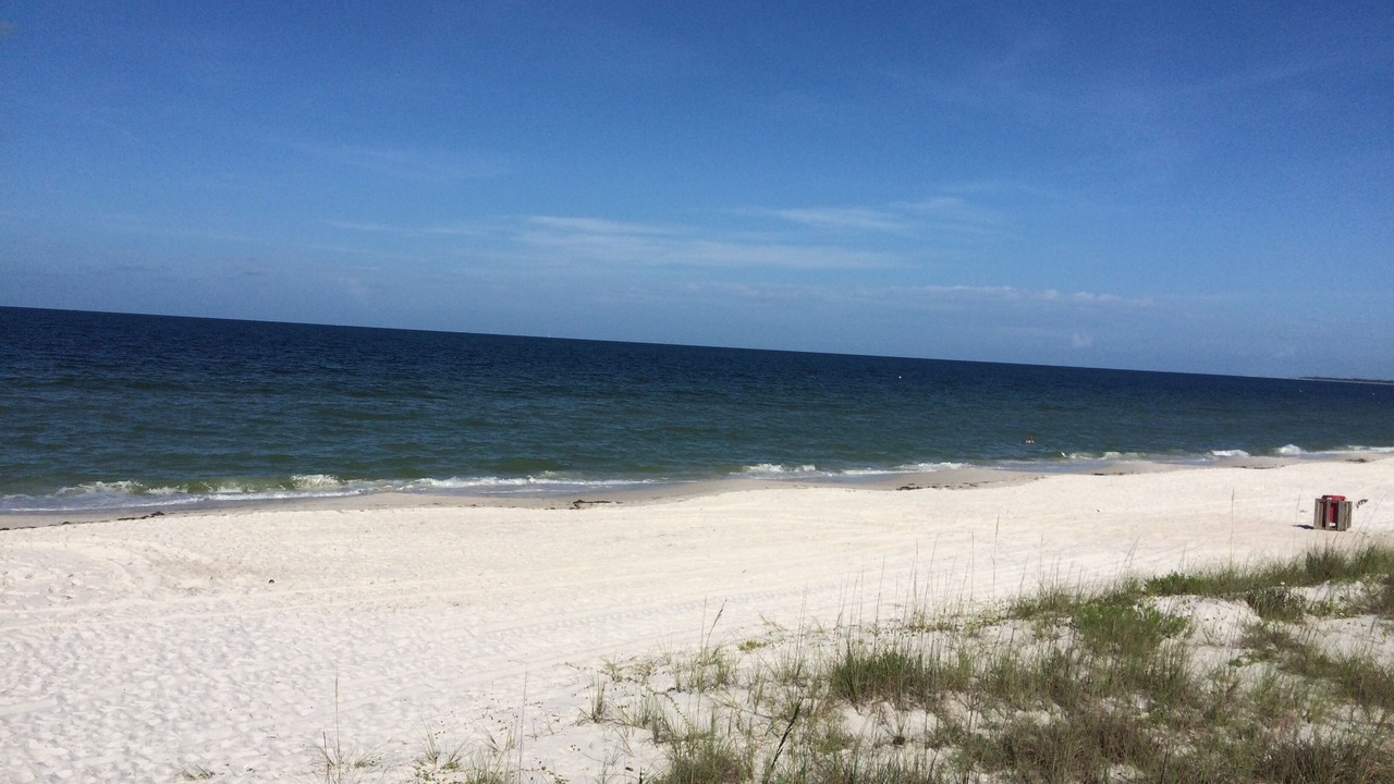 Photo of Others in Mexico Beach