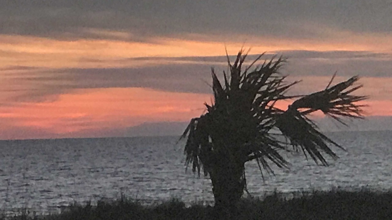 Photo of Others in Panama City Beach