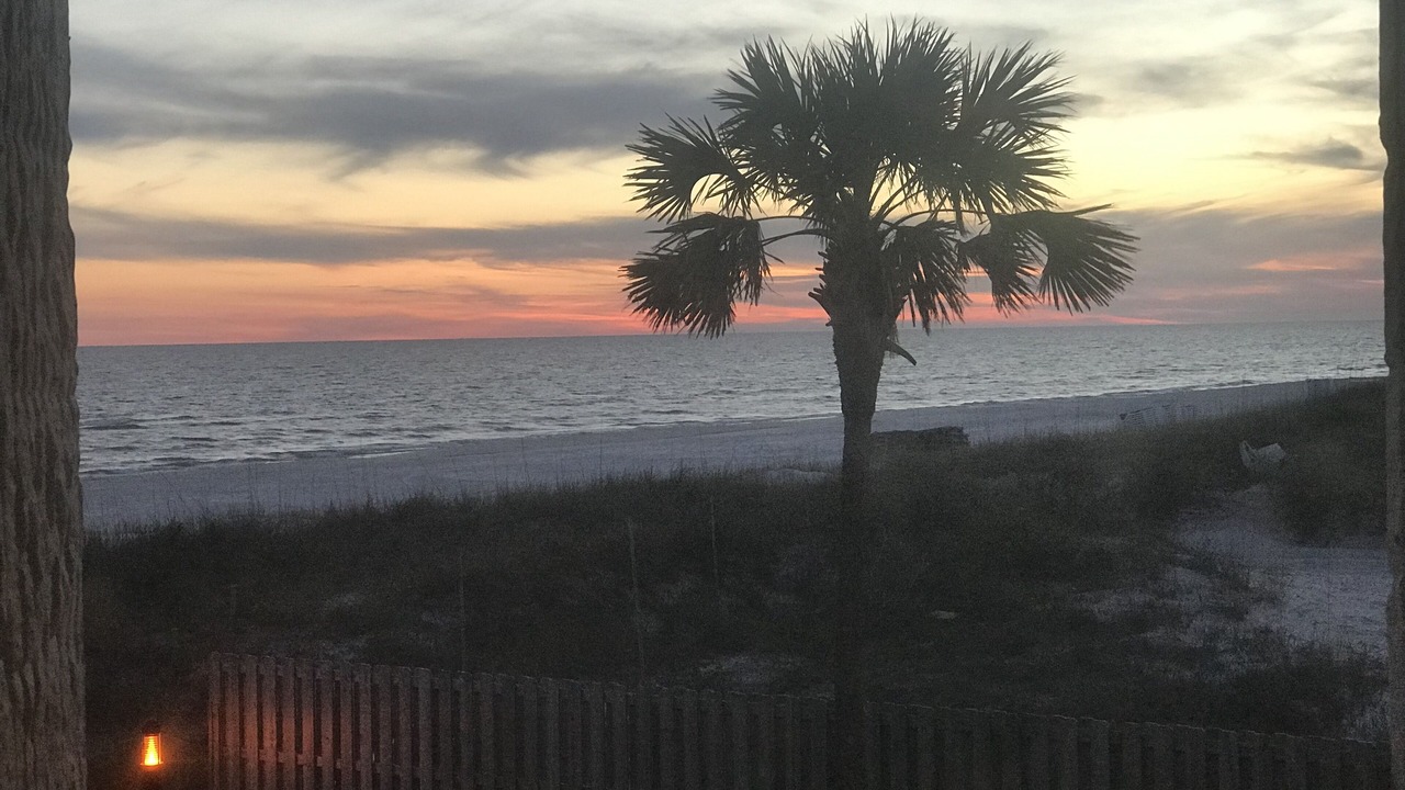 Photo of Others in Panama City Beach