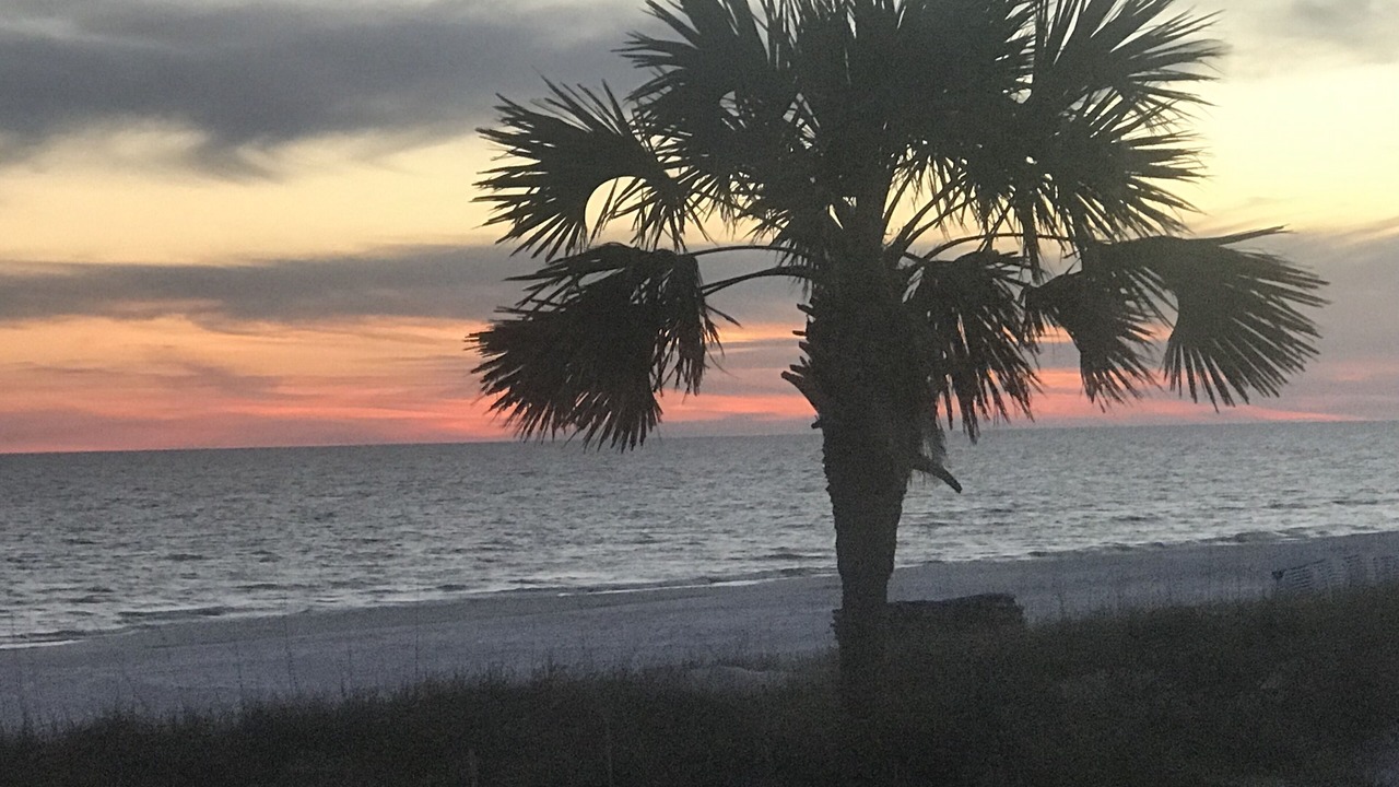 Photo of Others in Panama City Beach