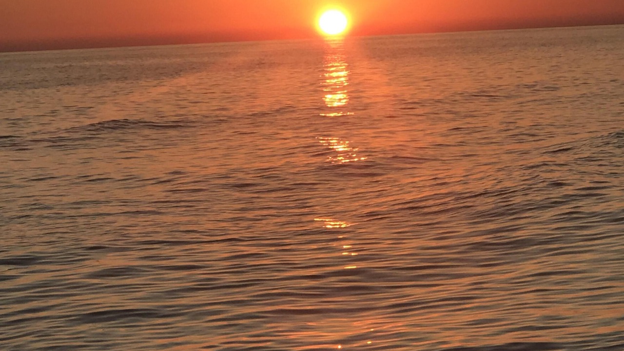 Photo of Others in Panama City Beach