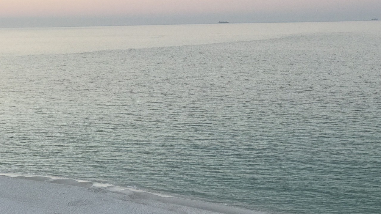 Photo of Others in Panama City Beach