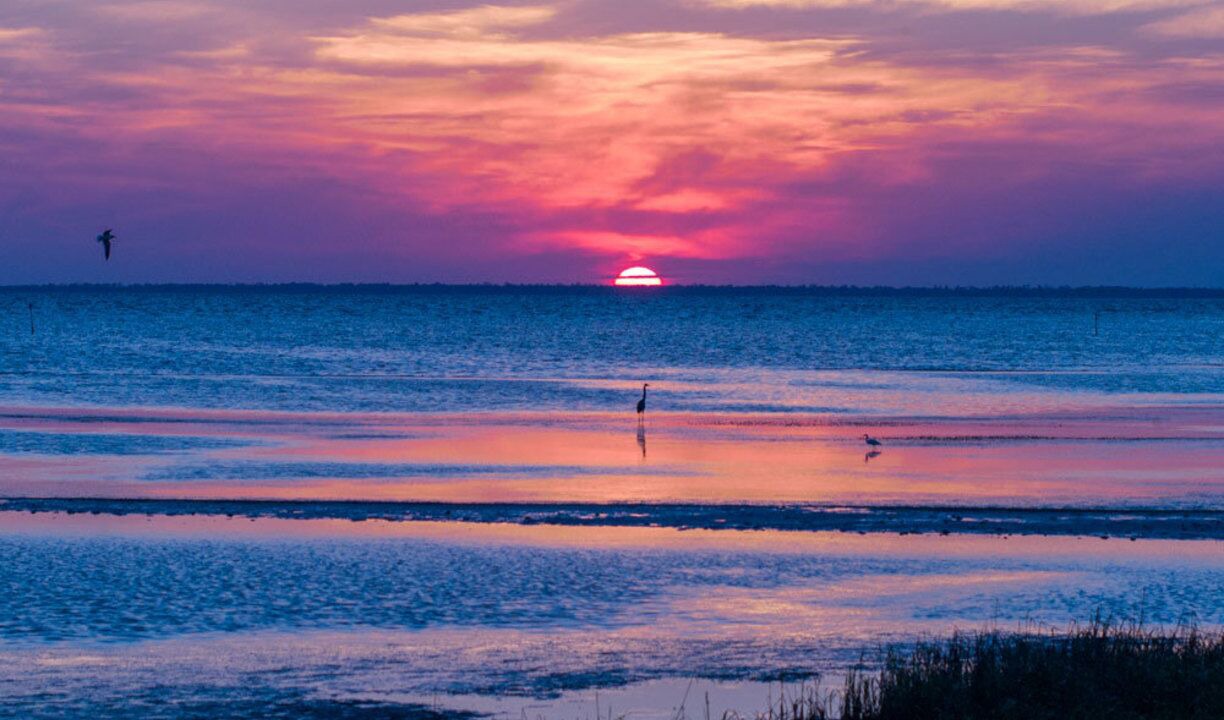 Photo of Others in Port St. Joe