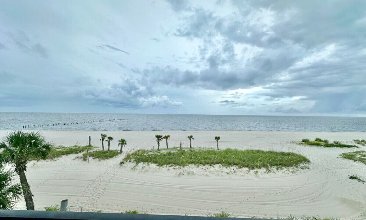 Photo of Others in Henderson Point