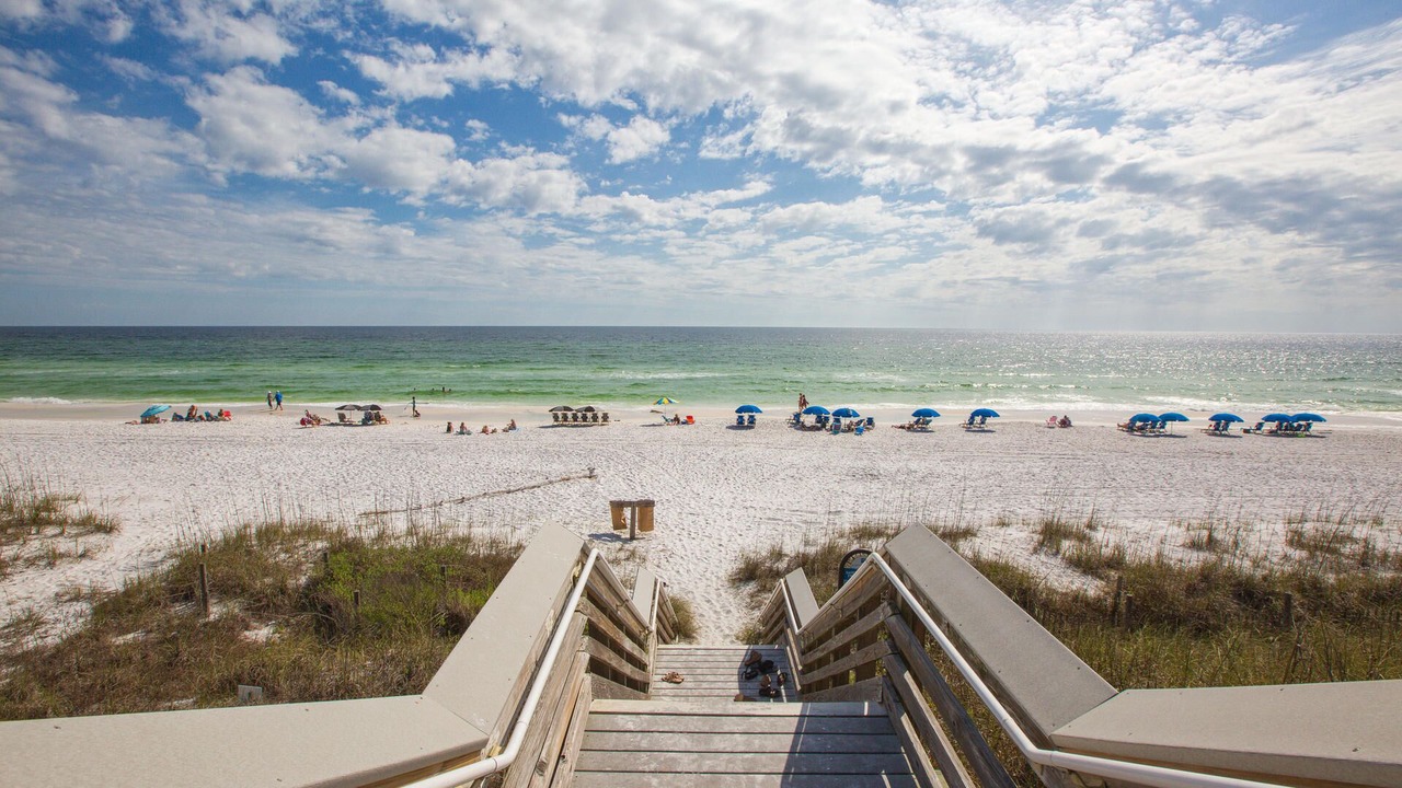Photo of Others in Dune Allen Beach