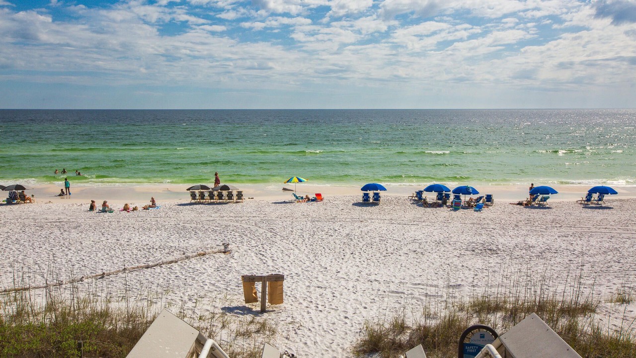 Photo of Others in Dune Allen Beach