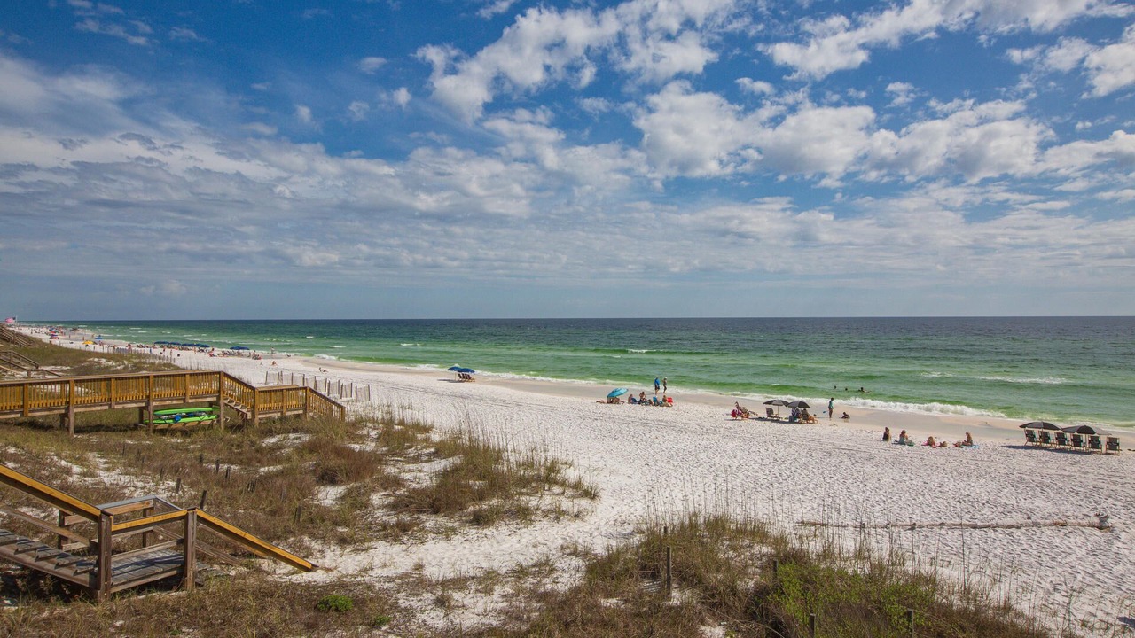 Photo of Others in Dune Allen Beach