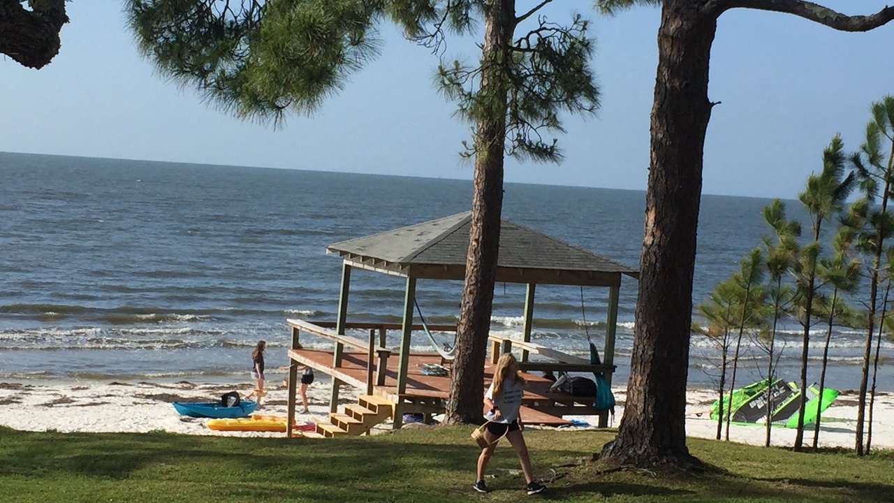 Photo of Others in Panacea