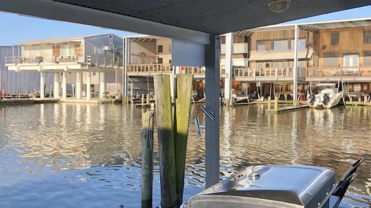 Photo of Others in Venice