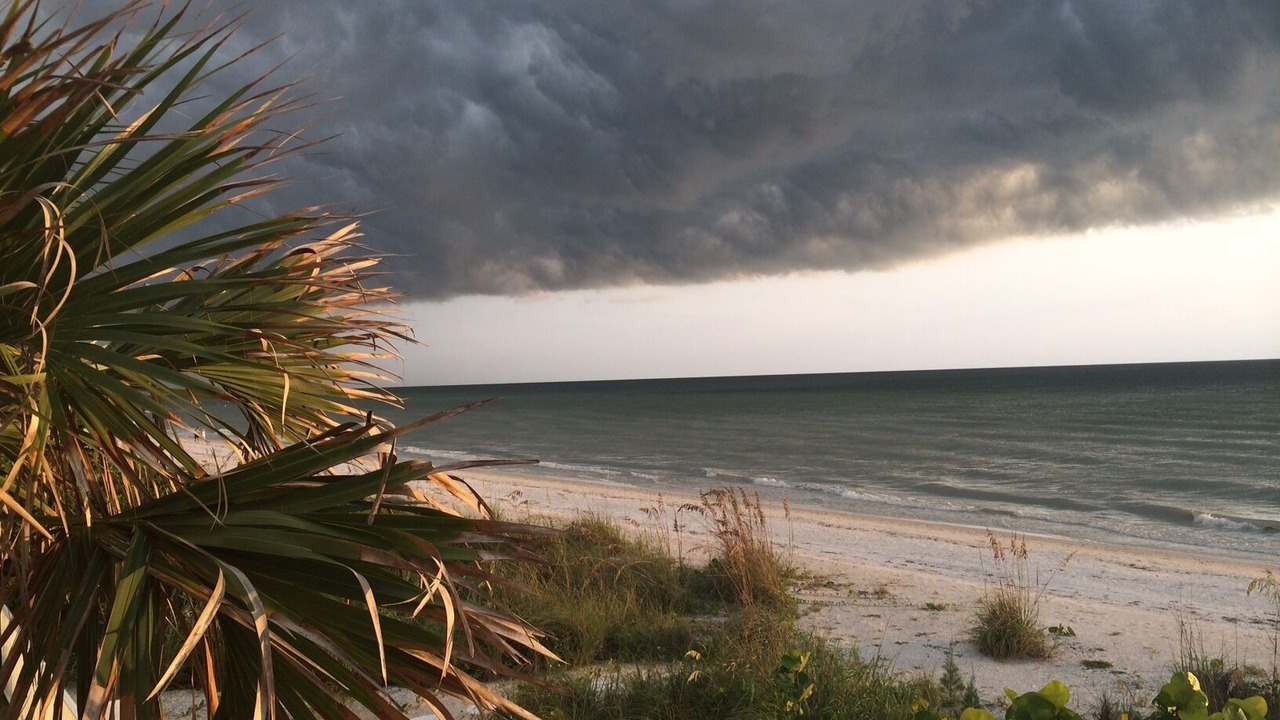 Photo of Others in Bonita Bay