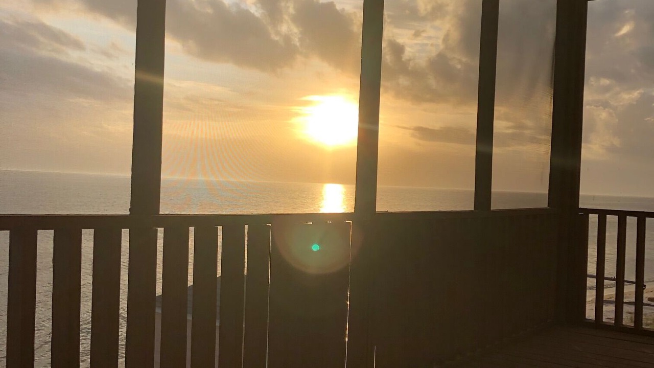 Photo of Outdoor in Ocean Springs