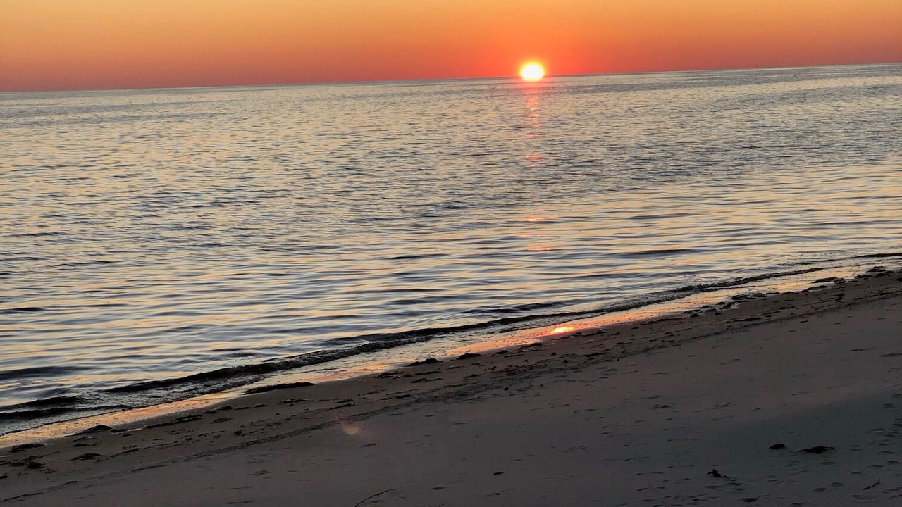 Photo of Others in Ocean Springs