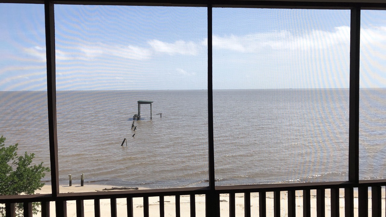 Photo of Others in Ocean Springs