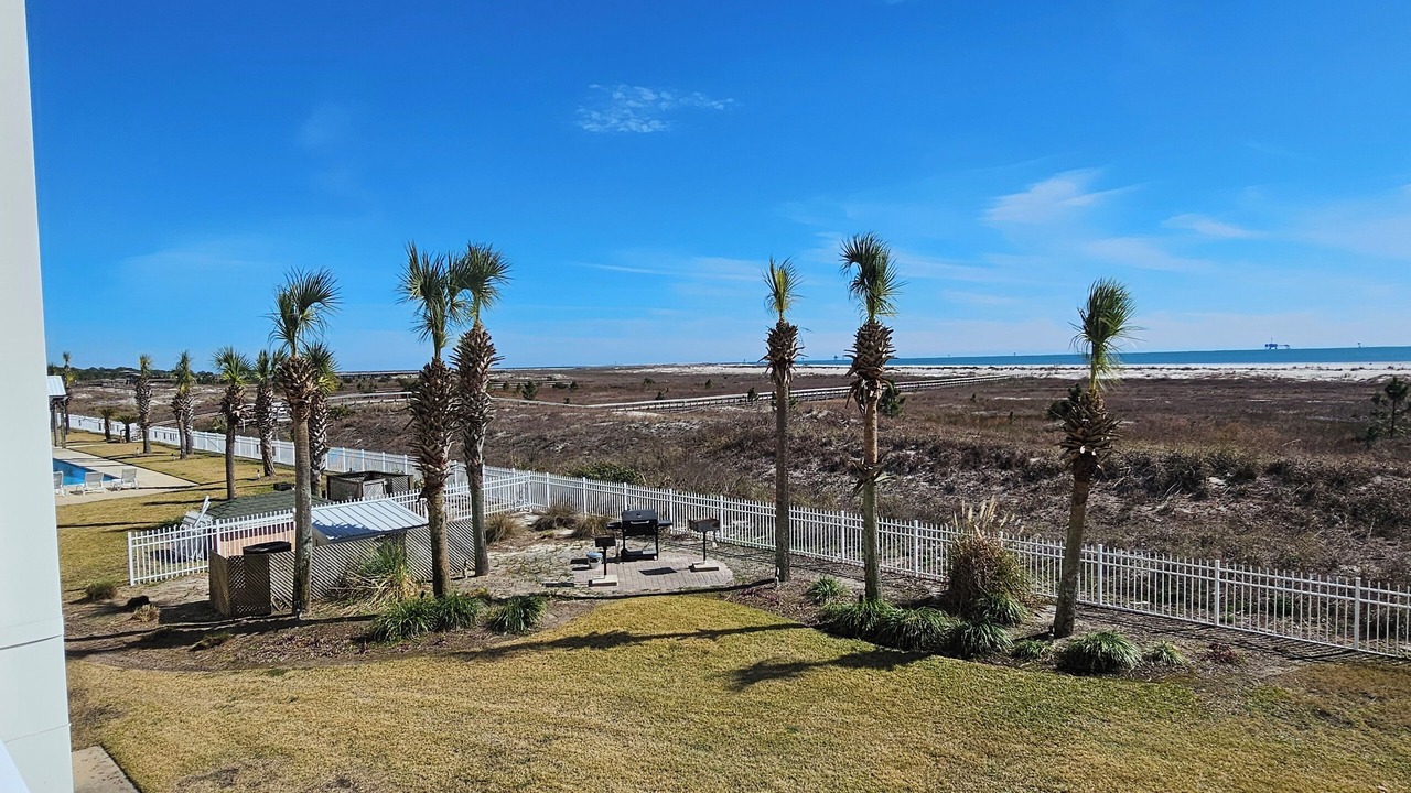 Photo of Outdoor in Dauphin Island