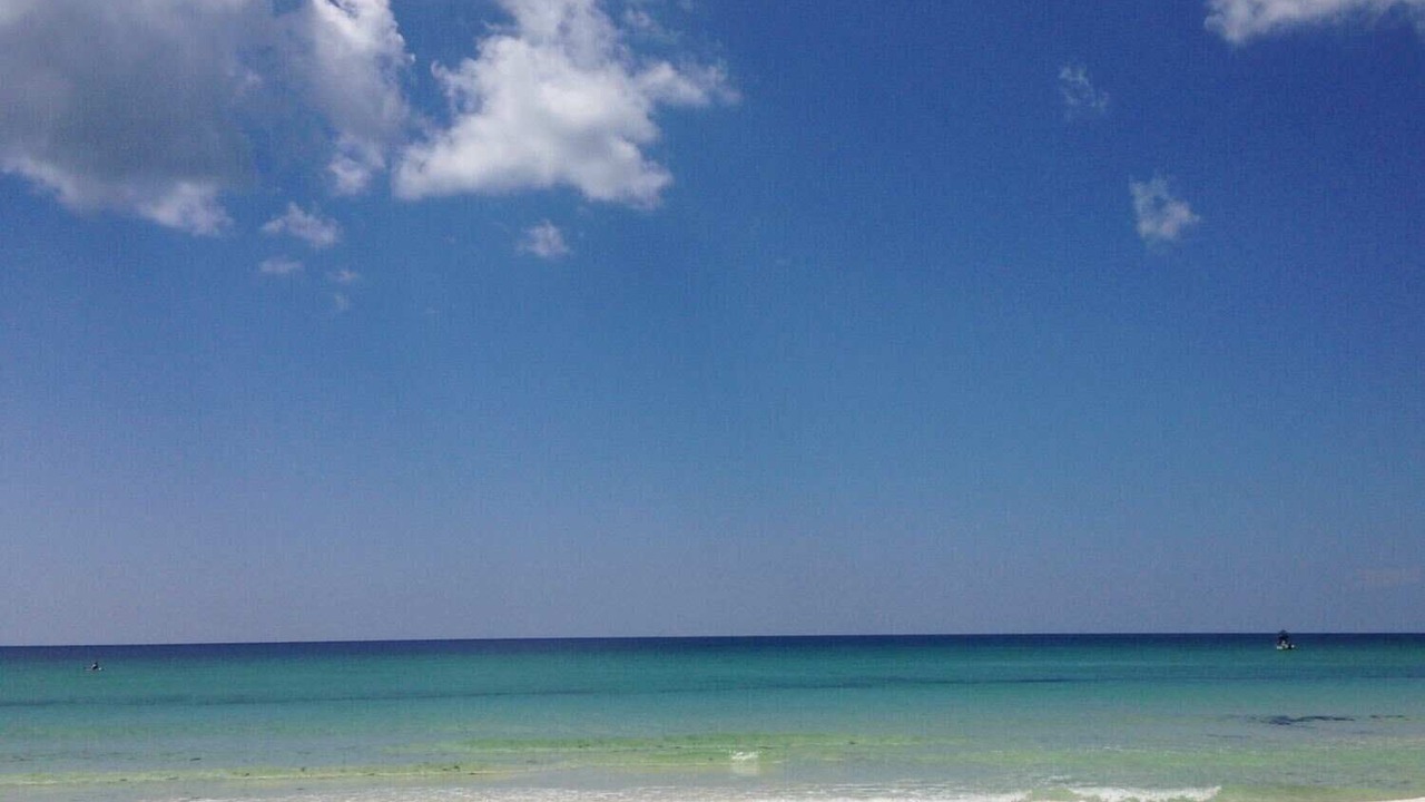 Photo of Others in Sugarwood Beach