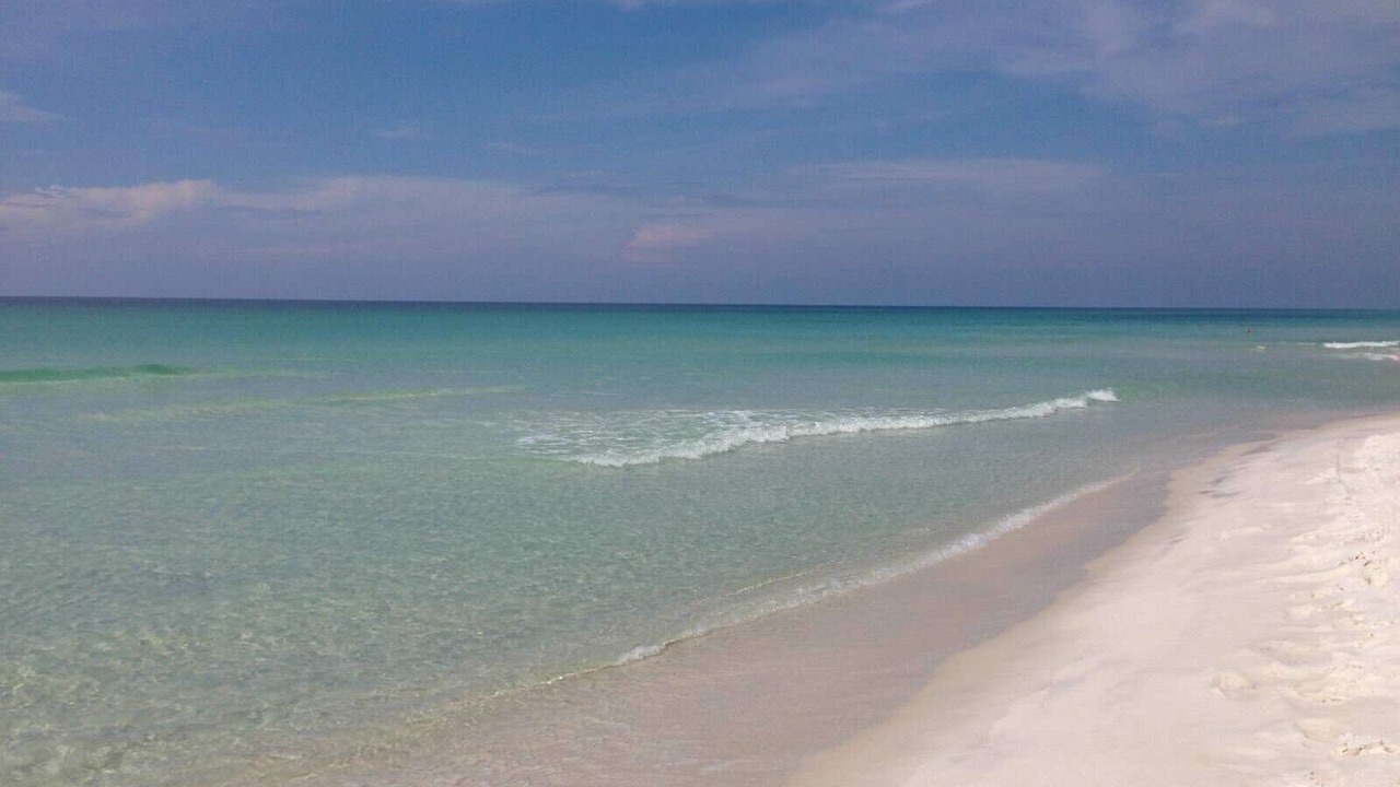 Photo of Others in Sugarwood Beach