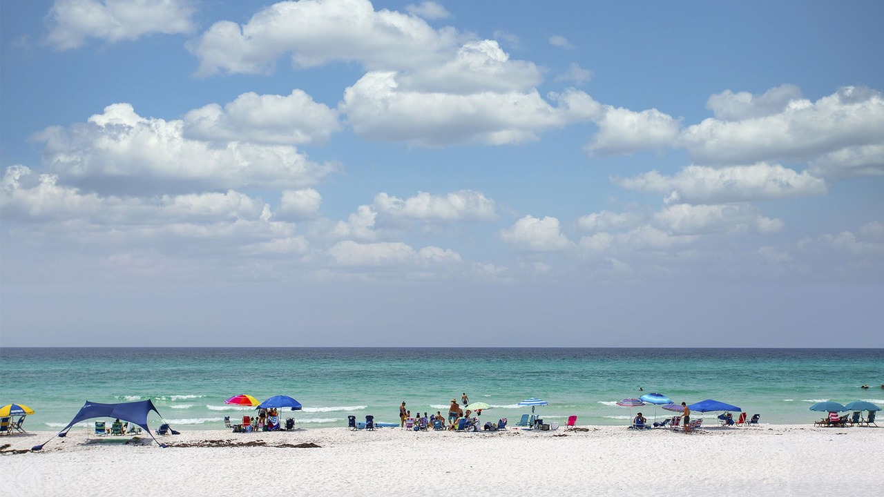 Photo of Others in Gulf Trace