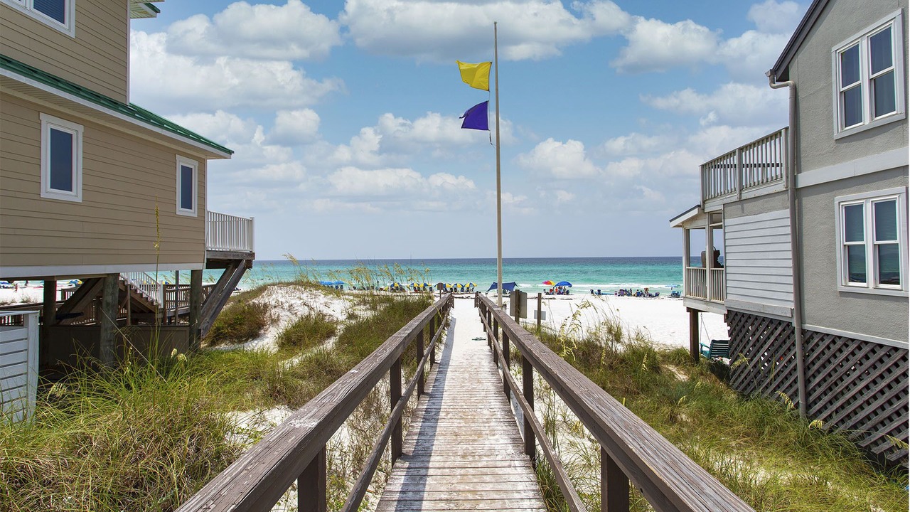Photo of Others in Gulf Trace