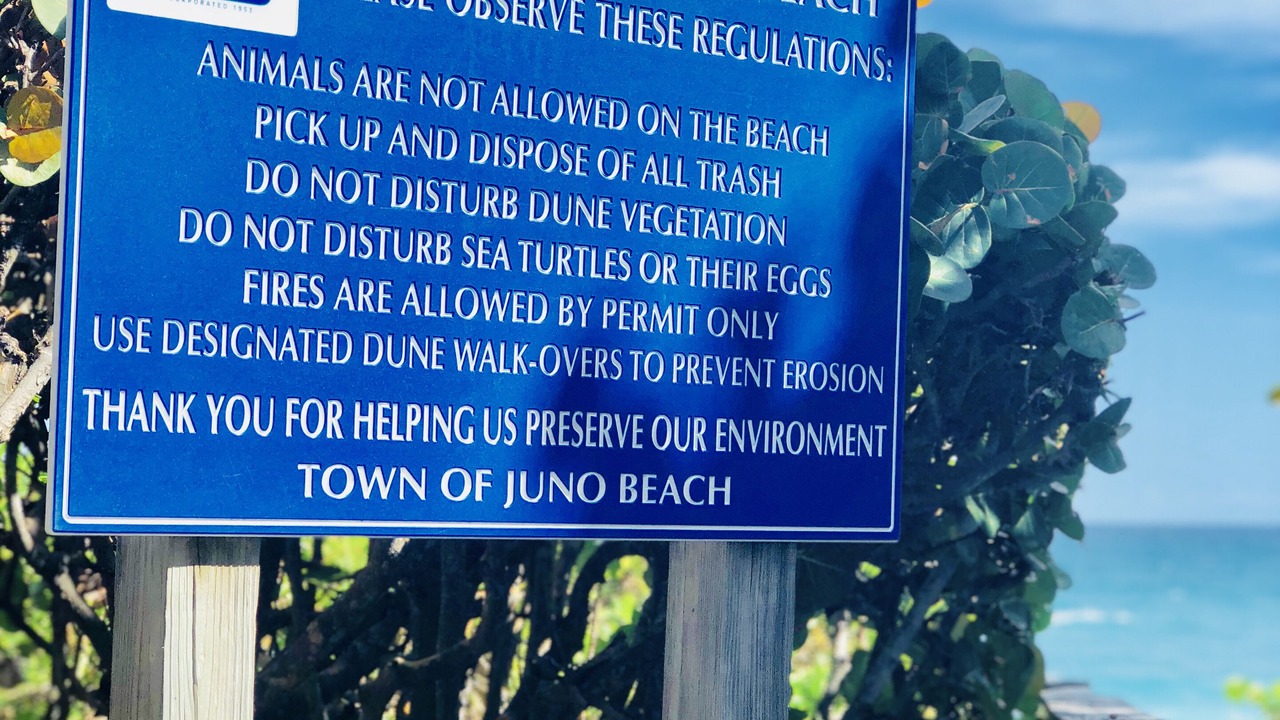 Photo of Outdoor in Juno Beach