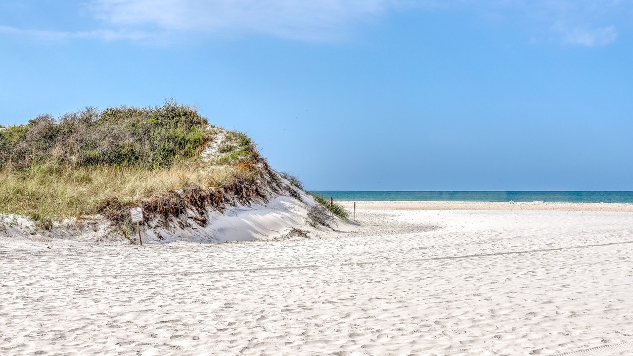 Photo of Others in Cape San Blas