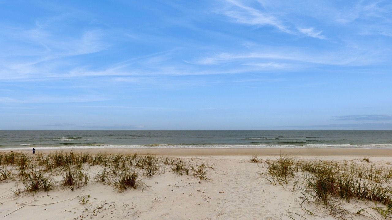 Photo of Others in Cape San Blas