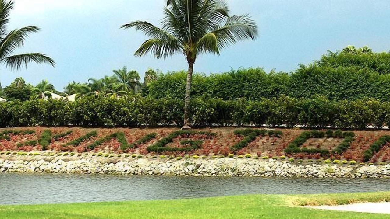 Photo of Others in Tropical Cove