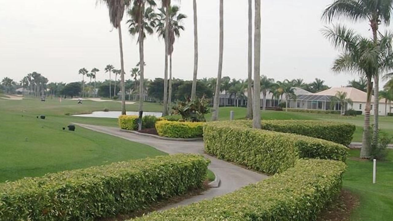 Photo of Others in Tropical Cove