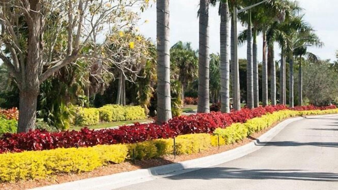 Photo of Others in Tropical Cove
