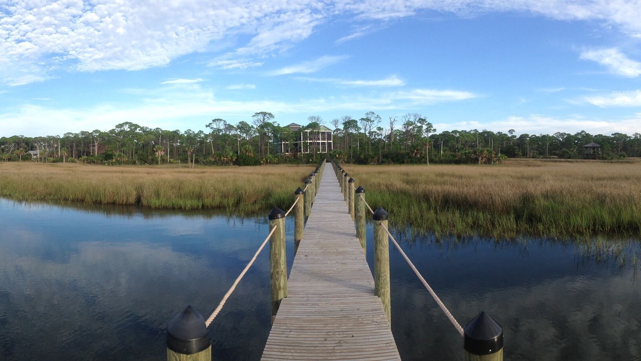 Photo of Others in Plantation