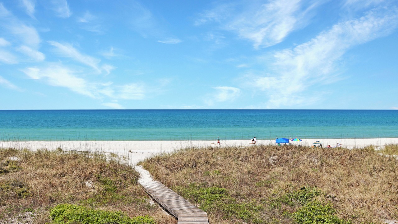 Photo of Others in Cape San Blas