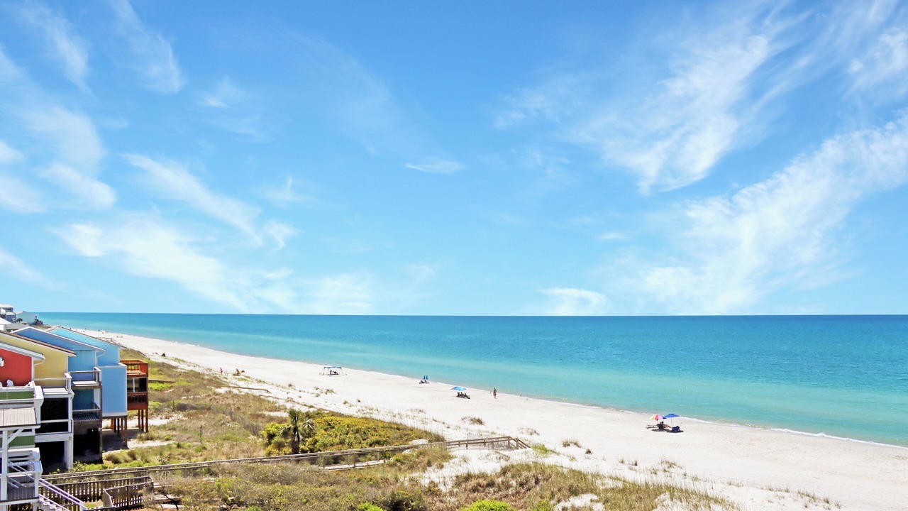 Photo of Others in Cape San Blas
