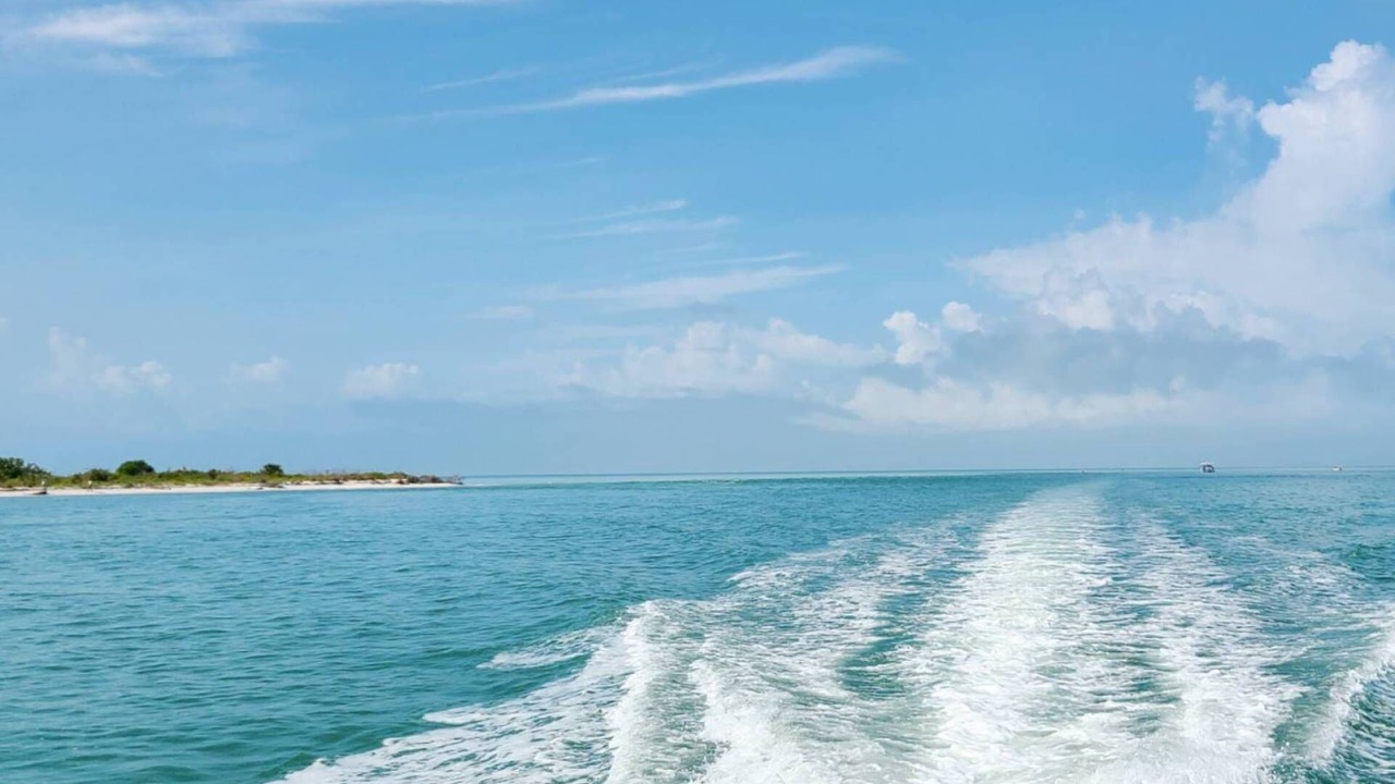 Photo of Others in Pelican