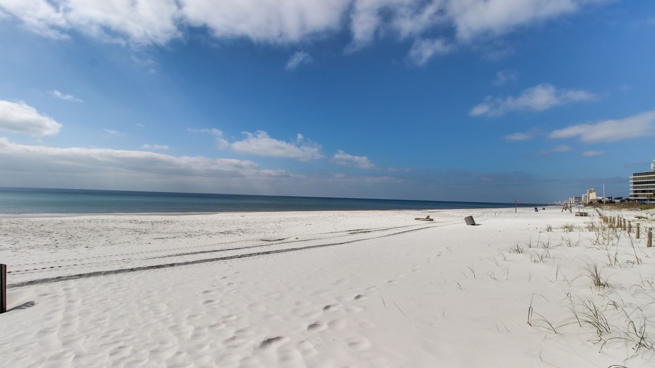 Photo of Others in Gulf Lagoon Beach