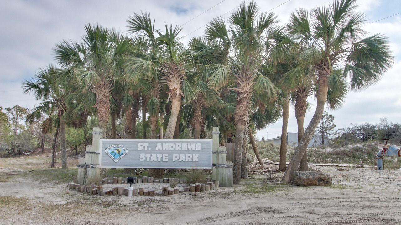 Photo of Outdoor in Gulf Lagoon Beach