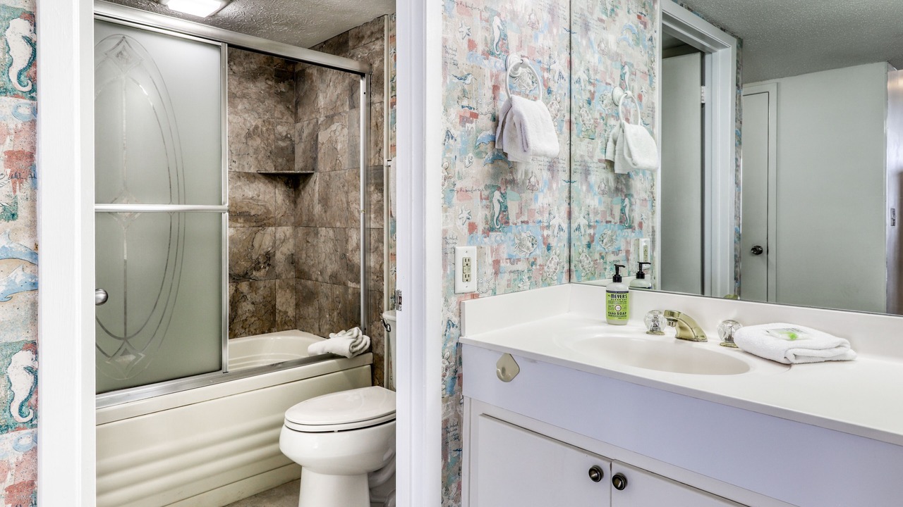 Photo of Bathroom in Gulf Lagoon Beach