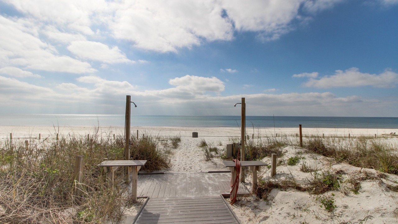 Photo of Others in Gulf Lagoon Beach