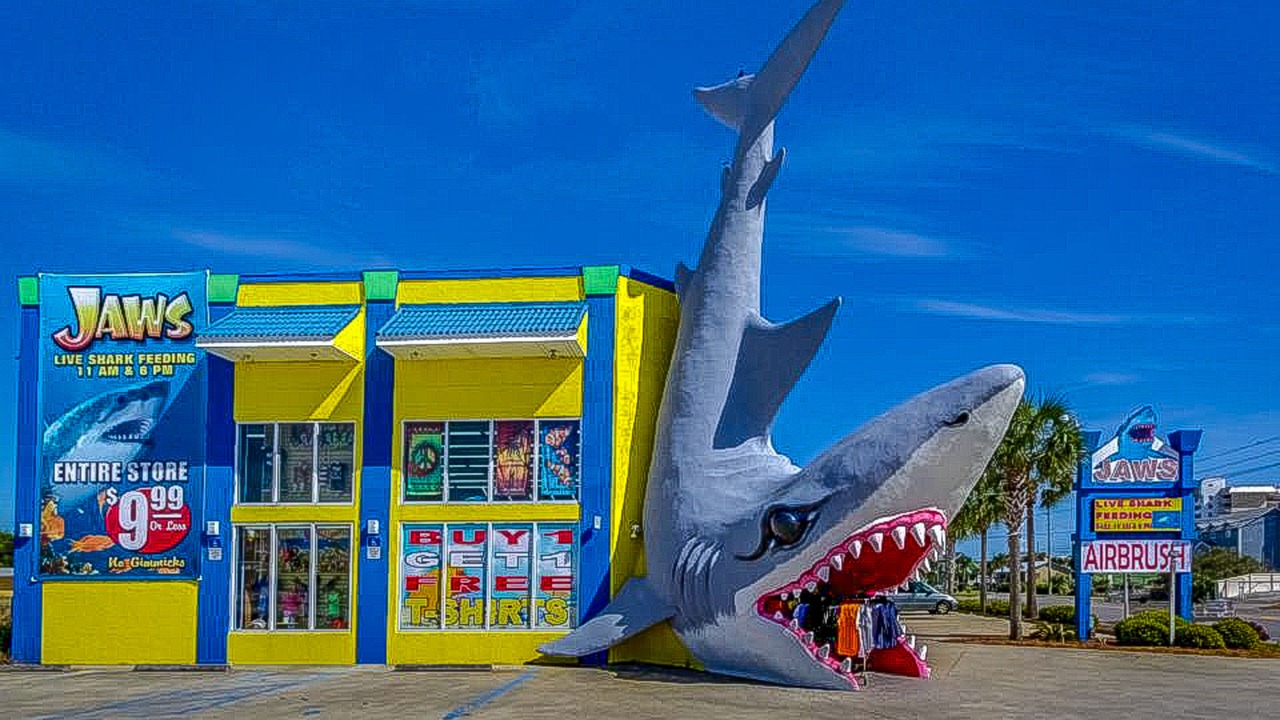 Photo of Others in Gulf Lagoon Beach