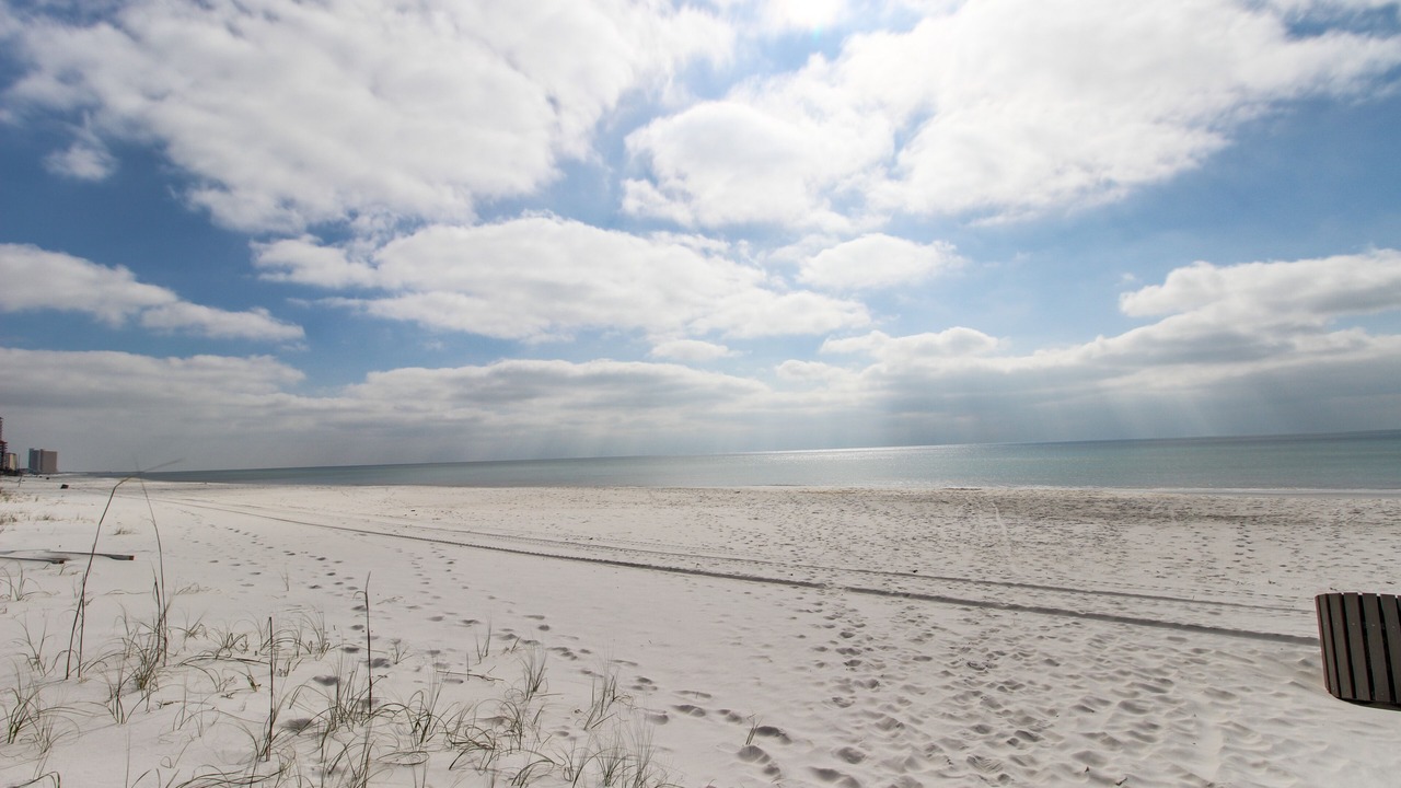 Photo of Others in Gulf Lagoon Beach