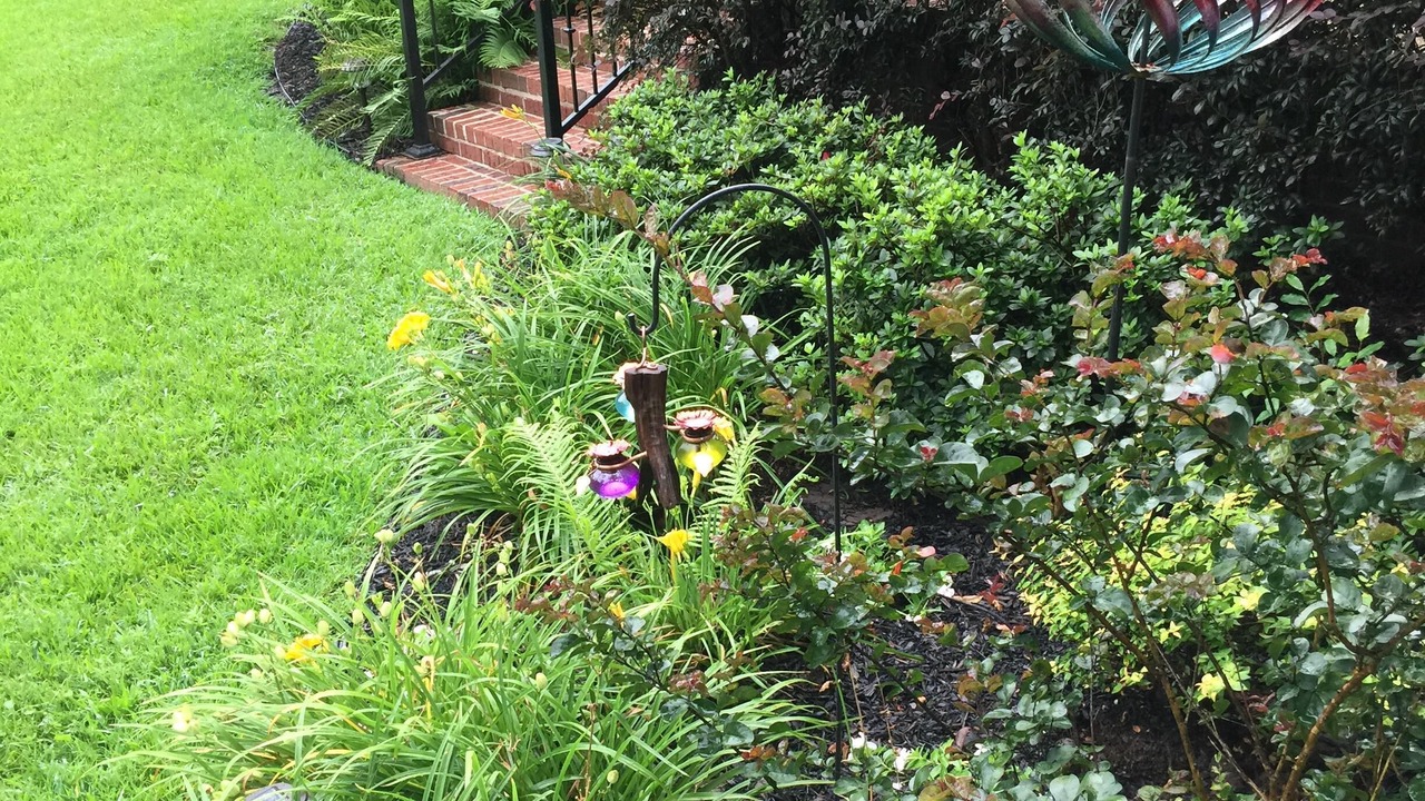 Photo of Outdoor in St. Joseph
