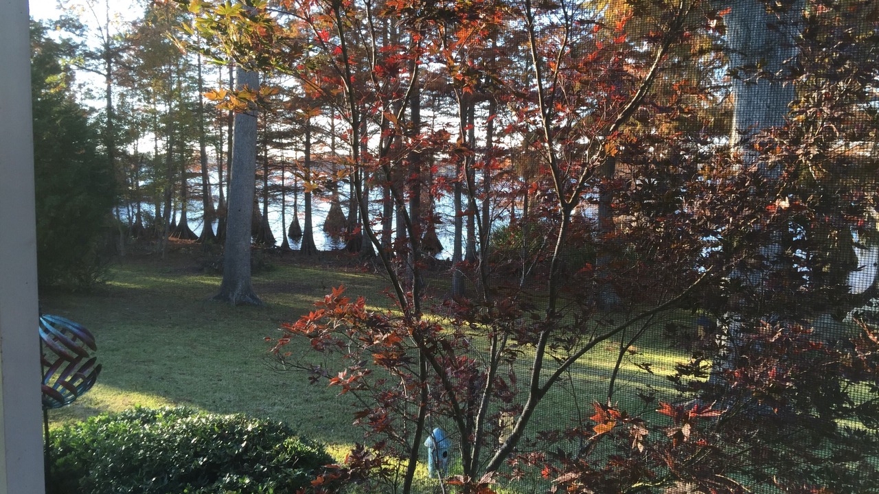 Photo of Outdoor in St. Joseph