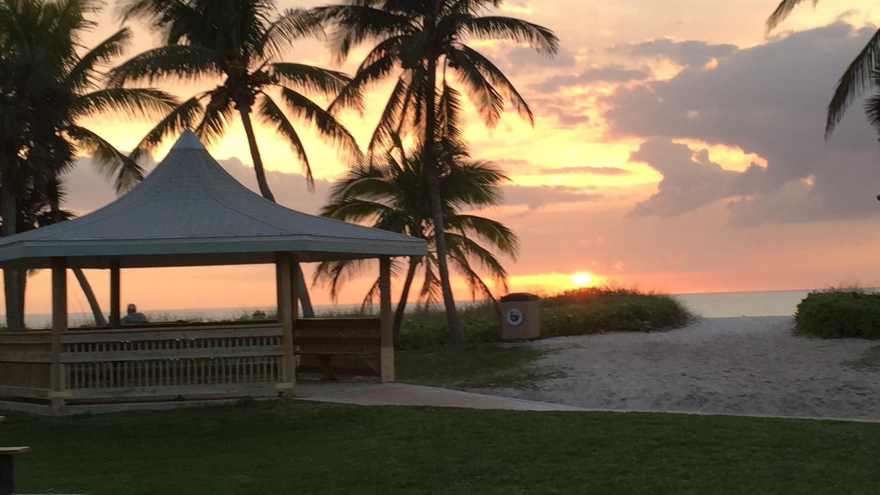 Photo of Others in Coquina Sands