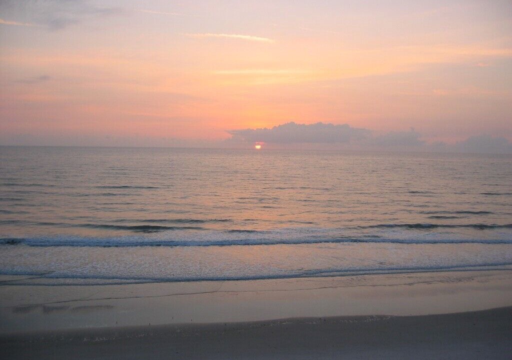 Photo of Others in New Smyrna Beach