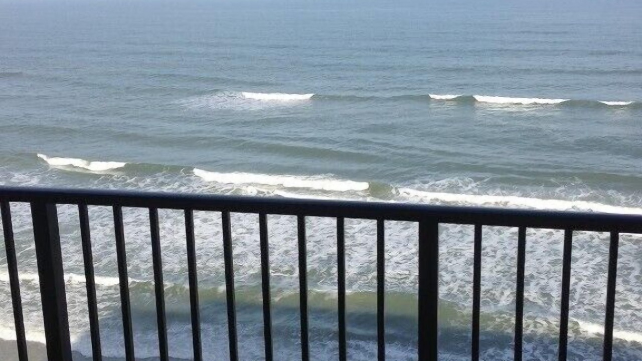 Photo of Outdoor in New Smyrna Beach