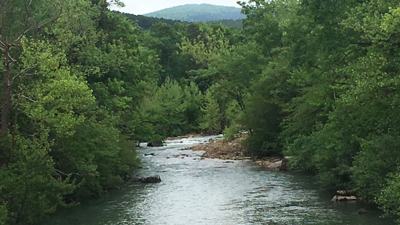 Photo of Others in Smithville